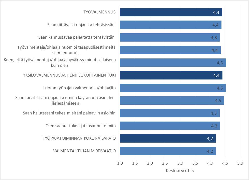 Työpajatoiminnan arvosanat