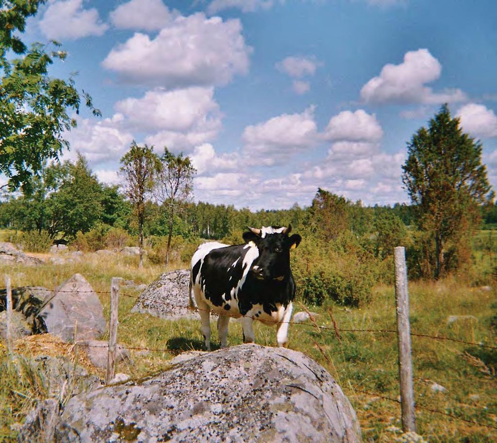 LOUNAIS-SUOMEN