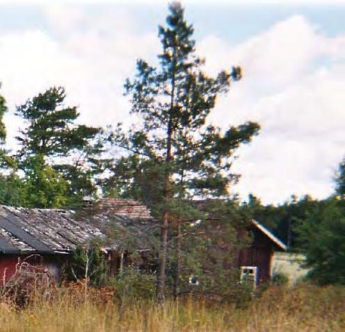 Yhtä ketokohdetta (Jutilan huvilan keto, 0,2 ha) on niitetty pitkään ja niitto jatkuu edelleen.