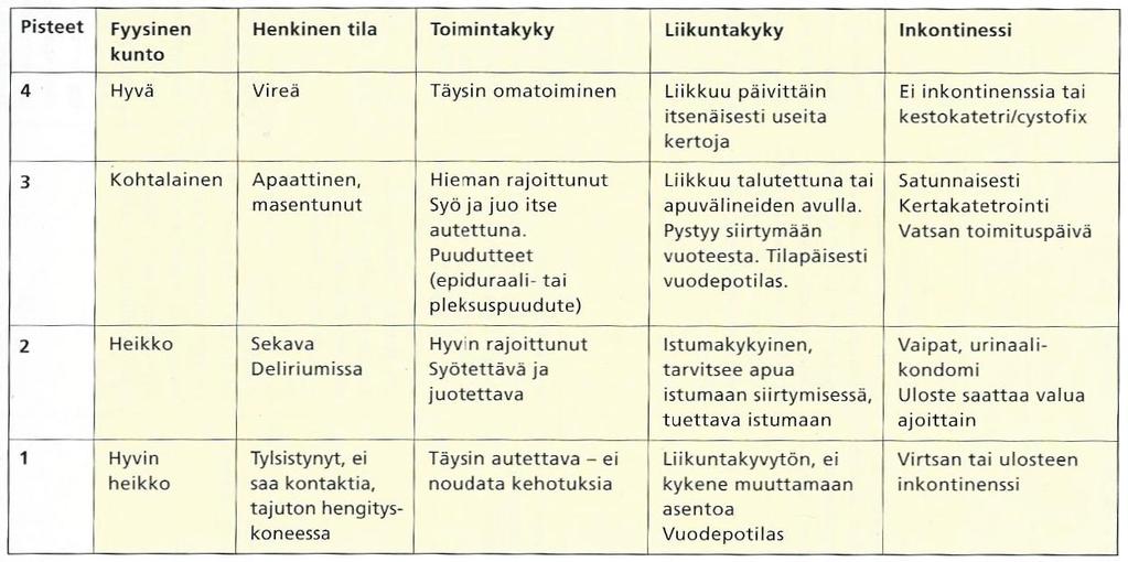 48 LIITE 1 Nortonin riskiluokitusmittari Taulukko 2.