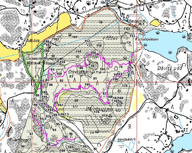 Kuva 2. Kartoituksessa kuljettu reitti (pinkki viiva), Suti-GIS kuviointi, yhtenäiskoordinaatisto (punainen viiva) ja Natura-alueen raja (oranssi viiva).