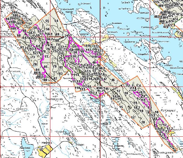 Kuva 1. Kartoituksessa kuljettu reitti (pinkki viiva), Suti-GIS kuviointi, yhtenäiskoordinaatisto (punainen viiva), Natura-alueen raja (oranssi viiva) ja YSA-alueen raja (vihreä viiva).