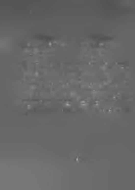 I 1 o Eripainos n:o 1. Särtryck N :o 1. v Paraguay. Liikenneaika: Klo 14 21 Suomen aikaa. Sallittuja ovat: tavalliset yksityispuhelut; tavalliset valtiopuhelut; puheluilmoitukset ja puheluliutsut.