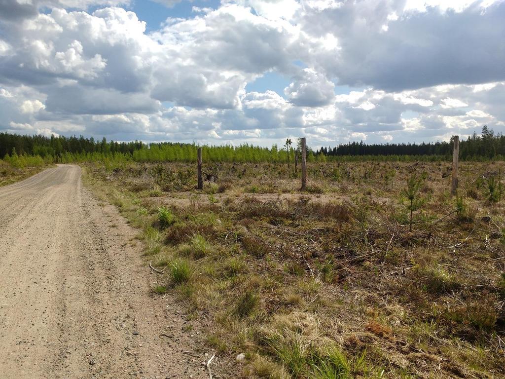 GEOLOGIAN TUTKIMUSKESKUS Geologinen rakenneselvitys 2822017