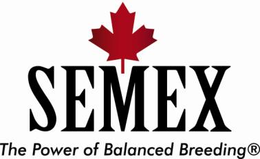 14 3 SEMEXIN TOIMINTAYMPÄRISTÖ 3.1 Semex yrityksenä Semex Alliance on neljän kanadalaisen keinosiemennysosuuskunnan perustama markkinointiyhtiö.