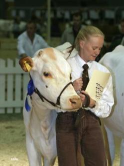 6 sen tarjoamista palveluista. Kyselyn tuloksia ei kuitenkaan julkaistu kokonaisuudessaan. Semex Sweden ei ole Suomessa toimiessaan mitannut asiakkaidensa tyytyväisyyttä.