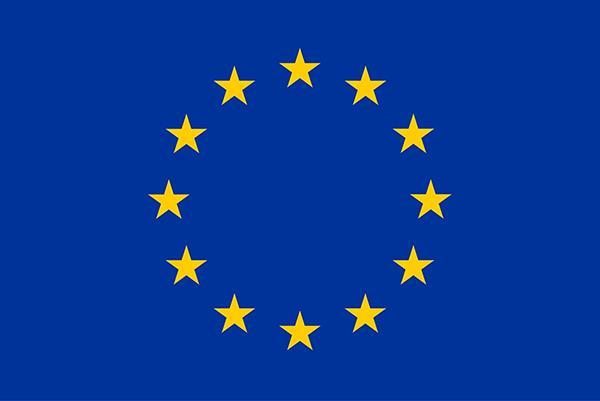 EU:ssa meneillään olevia asioita Pieniä alle 24 m matkustaja-aluksia koskeva säännöstö on komission tämän vuoden työohjelmassa (8a matkustaja-aluslainsäädännön REFIT tilannekatsaus).