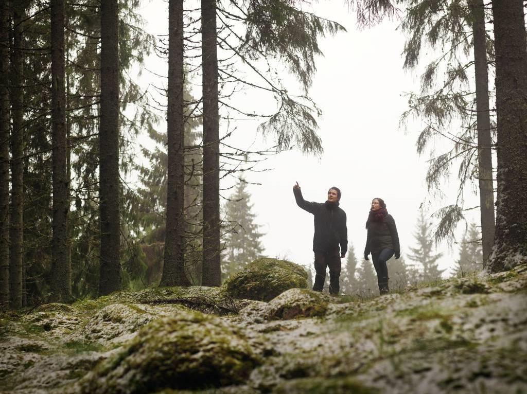 Metsät, puuviljelmät ja maankäyttö Huomioimme paikallisympäristön erityispiirteet Kestävä metsänhoito pitää metsät ja plantaasit terveinä ja tuottavina 90 % käyttämästämme puusta tulee hoidetuista