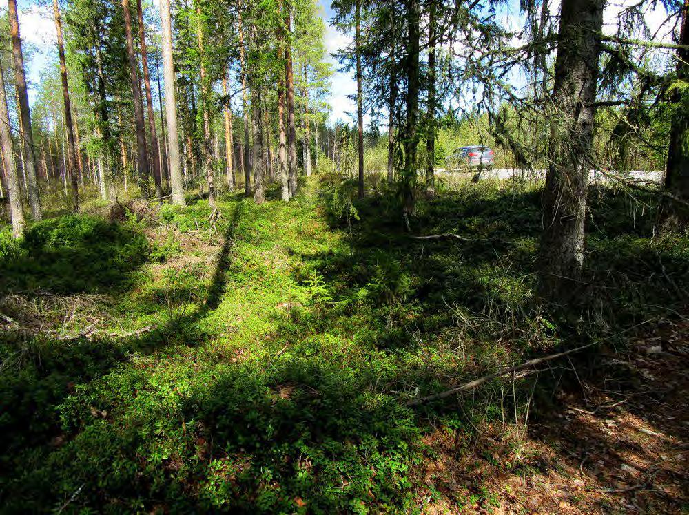 Keski-Pohjanmaan ArkeologiaPalvelu Kalajoki Läntisten tuulipuisto 2015 13 koord.