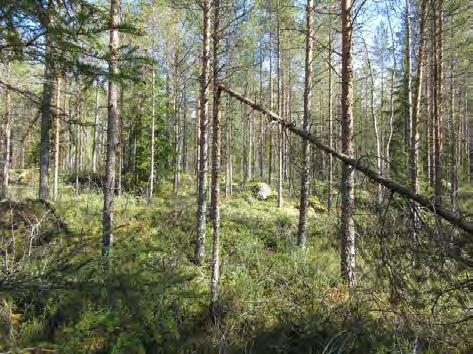 Keski-Pohjanmaan ArkeologiaPalvelu Kalajoki Läntisten tuulipuisto