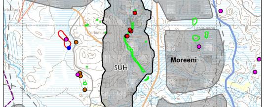 Vaihtoehto VE2 VE2:ssa suorat elinympäristöön kohdistuvat vaikutukset kohdistuvat noin 43 km 2 laajuiselle alueelle.