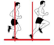 (Mukailtu: Dubin chiropractic 2016) Keskitukivaihe on vaihe, jossa koko jalkapohja on kontaktissa alustaan ja kehon paino siirtyy jalkaterän takaosasta etuosaan (Dugan Bhat. 2005: 613).