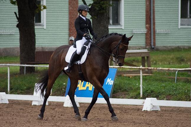 Hannover- tamma Etoscha (Earl-Bolero).