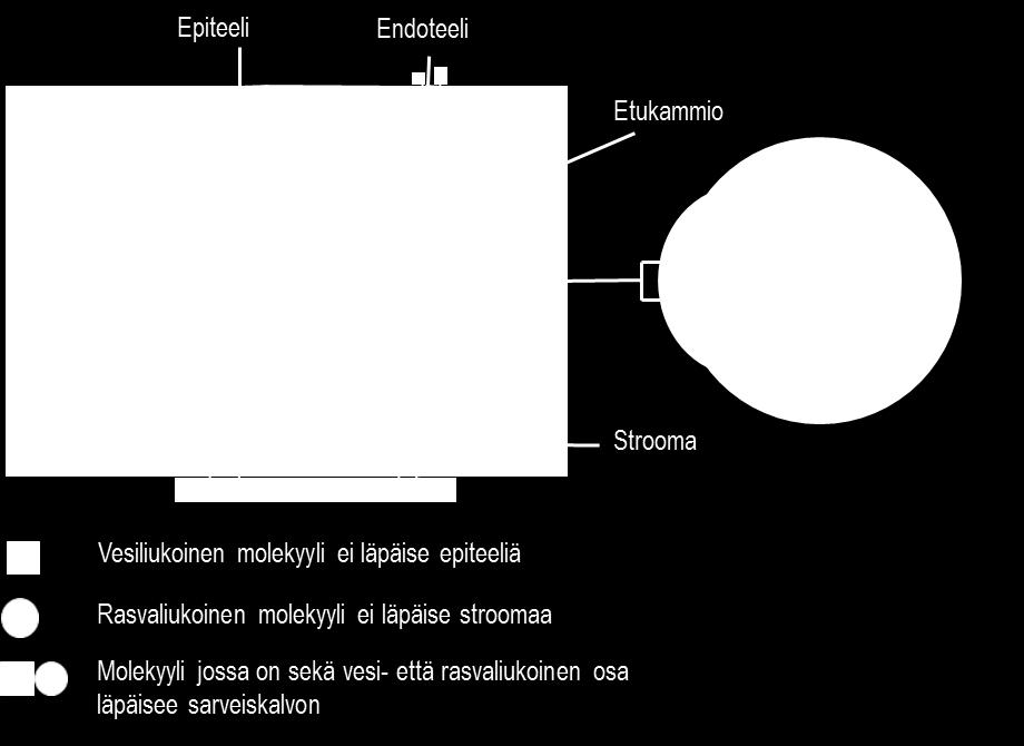 Lääkeainetta, joka toimii sympaattisen hermoston välittäjäaineen tavalla, kutsutaan sympatomimeetiksi ja parasympaattisen hermoston välittäjäaineen tavoin toimivaa parasympatomimeetiksi.