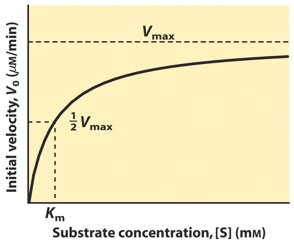 9 V 0 Vmax[ S] [ S] K m