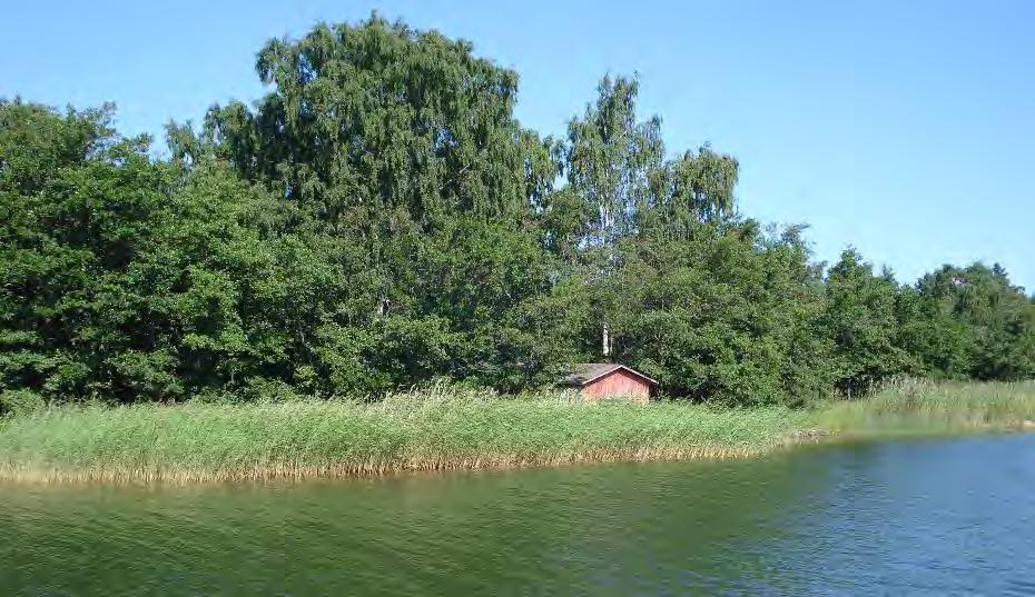 166-RAK1505 UUSIKAUPUNKI VASIKKAMAAN RANTA-ASEMAKAAVA 2 JA VASIKKAMAAN