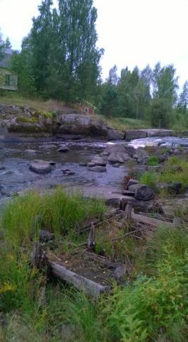 Miten eteenpäin? Varhainen yhteistyö, yhteiset tapaamiset, työpajat, tapahtumat, tarkastukset, katselmukset, seminaarit, hankkeet jne.