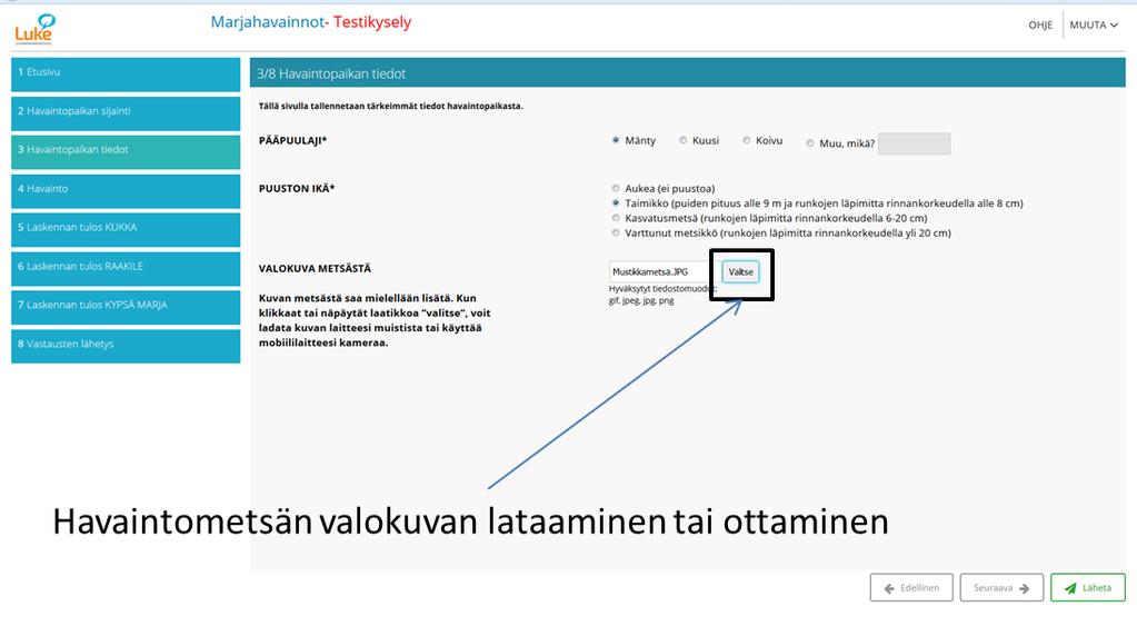 4.3. Havaintopaikan perustietojen tallentaminen Havaintometsästä kirjataan joitakin keskeisimpiä tunnuksia. Nämä ovat pääpuulaji, eli se puulaji jota havaintapaikallasi on eniten, sekä puuston ikä.