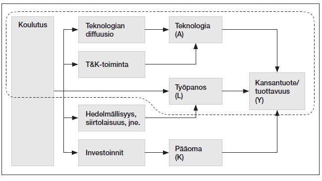 Kuvio 2. Koulutuksen vaikutuskanavat (Asplund ja Maliranta 2006) 4.