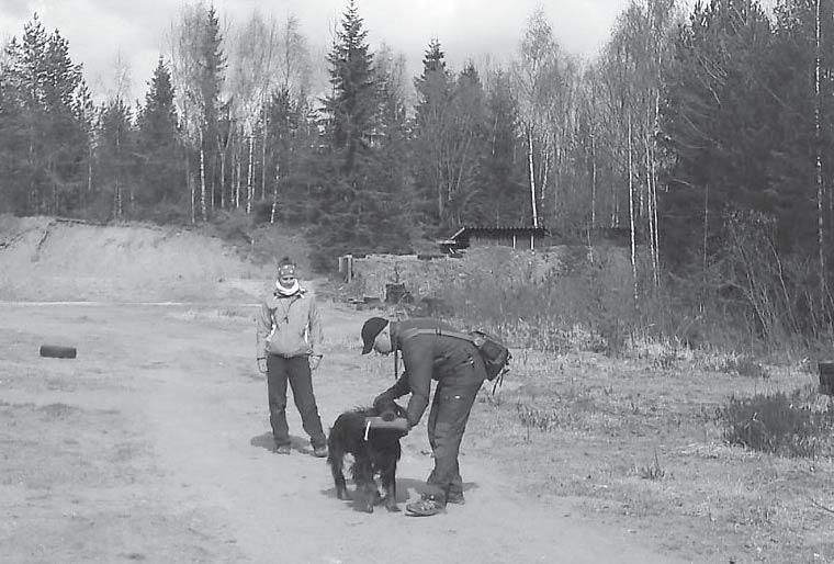 Harrilla on onneksi pitkältä ajalta kokemusta ja osaamista metsästyskoirien kouluttamisesta, joten tämäkin osio saatiin vedettyä mallikkaasti läpi, vaikka Harri ei pitkää valmisteluaikaa saanutkaan.