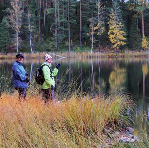 Lomat Kruunupuisto, Punkaharju 4. 9.9.2017 TEEMA: Sinun tähtesi Kenelle: Omaishoitajille ja hoidettaville läheisille Loistanko tähtenä sinulle ja itselleni, meille molemmille?