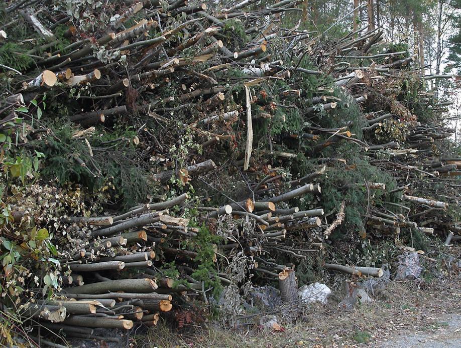 huhtikuuta 2012 Hannu Ilvesniemi Metla