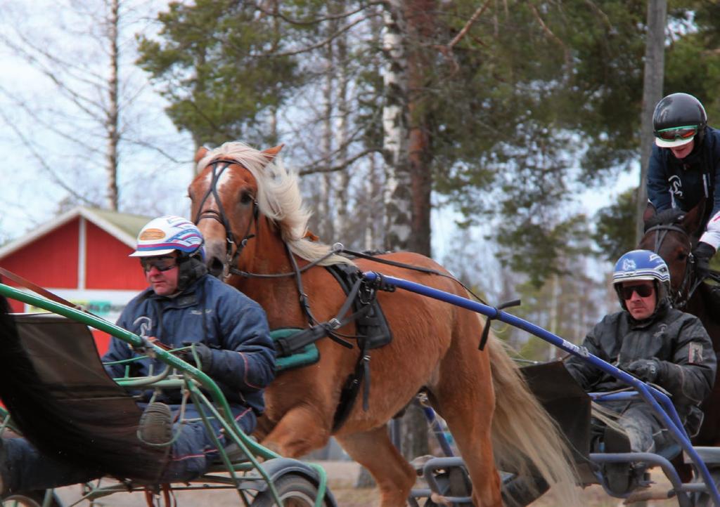 H e v o s o p i s t o O y Y p ä j ä n H e v o s o p i s t o V u o s i k a t s a u s 2 0 1 6 HALLINTO Hallituksen puheenjohtajana toimi Tapani Peltonen.
