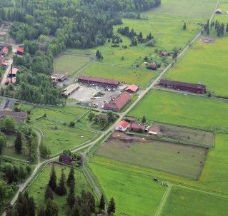SISÄLTÖ Toimitusjohtajan katsaus 4 Henkilöstö 17 Toimintaympäristö 19 Talous ja investoinnit 21 Tapahtumia kuvin 24 Ypäjän Hevosopiston opintolinjat