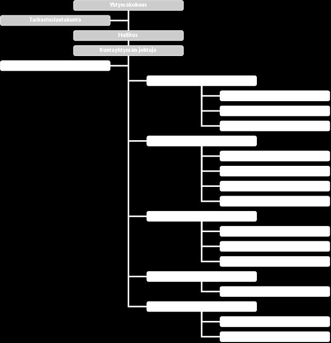 Liite 1 Organisaatiokaavio 1.6.