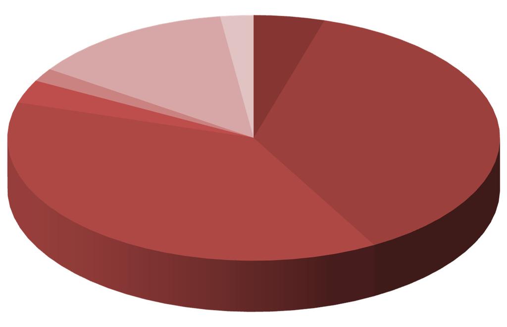 6 Ympäristötoimiala Miljösektorn 2 % Kulttuuritoimi Kulturväsendet 3,5 % Tekninen toimiala Tekniska sektorn 17 % Vesi ja viemärilaitos Vatten och avloppsverket 2,5 % Yleishallinto Allmän förvaltning