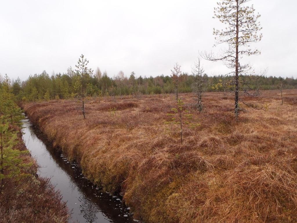 60 Maastotarkastuksessa 6.8.2013 kentän havaittiin toimivan hyvin. Vesi jakaantui ojittamattomalle suoalueelle tasaisesti eikä merkittäviä oikovirtoja havaittu.