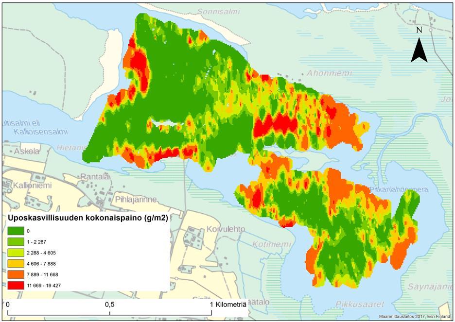 Yli-Kitka, Lohiranta Tutkitun alueen pinta-ala kartalta mitattuna n. 128,49 hehtaaria. Kokonaispainon arvioinnin pinta-ala 90,85 hehtaaria. Uposkasvillisuuden arvioitu kokonaispaino 3132,40 tonnia.