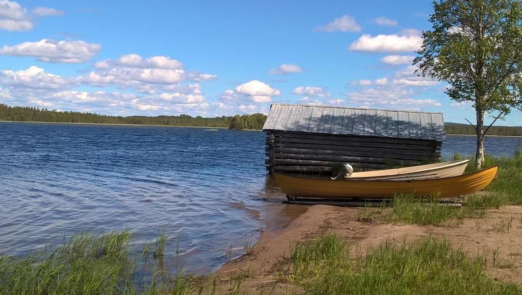 Elodea näytteenottopaikoilla Yli- Kitka Kuusamonjärvi Torankijärvi Massa (kg/m 2 )