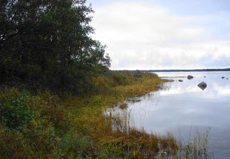 UUSIKAUPUNKI LOUKEENLUODON RANTA-ASEMAKAAVA Osallistumis- ja arviointisuunnitelma