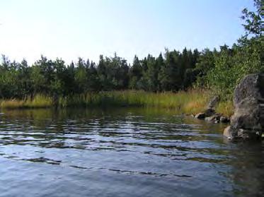 38. Pihlava-Linskerin itäpuolinen salmi, Merikarvia (1,6 ha) Saviliejupohjainen, lähes luonnontilainen matalavetinen flada.