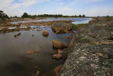 Juhannusmerenlahti, Uusikaupunki (2,8 ha) Kohteen suhteellisen pitkä, sorasta ja kivistä muodostunut suuaukko on vain 0,1 metrin syvyydessä keskivedestä.