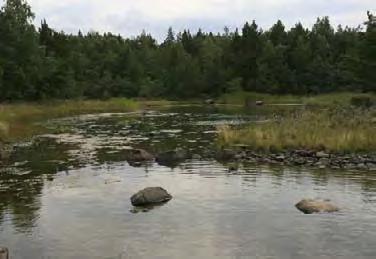 Hylkkari, Uusikaupunki (0,8 ha) Luonnontilainen muodostaa kokonaisuuden, johon kuuluu kahden kluuvin ketju ja poukama, jonka kynnys on melko syvällä, 0,8 metrissä keskivedestä.