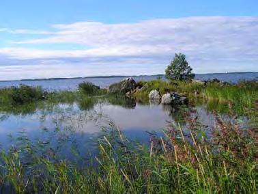 Rajatapaukset 37. Niittukari, Ouran saaristo, Merikarvia (2,2 ha) Kohteen luonnontilaa on ihmisen toimesta muutettu.