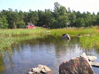 Syvimmän suuaukon kynnys keskivedestä mitattuna on 0,3 metriä itse kohteen syvyyden ollessa 0,5 m. Suojaisen kohteen pohja on mutaa ja kasvillisuuteen kuuluu mm.