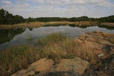 353. Ootskeri, Kustavi (0,6 ha) Kohde sijaitsee Ootskerin ja Katanpään välissä ja on muusta merialueesta matalan kannaksen erottama.