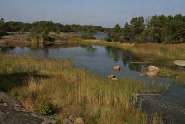 Kauempana rannasta on rakennuksia. 355. Laskloppi, Kustavi (0,3 ha) Kohteessa on matala kynnys, jonka kohdalla veden syvyys on vain 0,2 metriä.