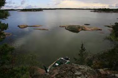 Rannan matalassa vedessä kasvaa järviruokoa ja sinikaislaa. 357.