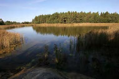 Syvimmän suuaukon kohdalla vettä on runsas puoli metriä ja itse kohteessa veden syvyys on noin metri. Pohja koostuu kivikon, liejun ja hiekan sekoituksesta.