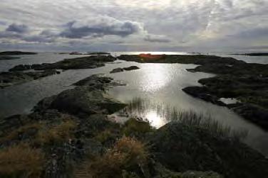 Bockholm, Iniö (1,0 ha) Kohde on ruovikon sulkema kluuviflada. 365.