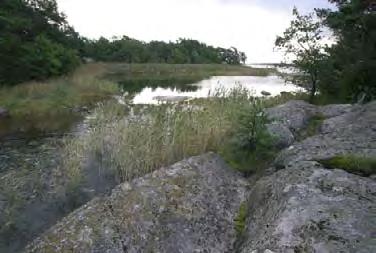 Korsskären, Dragsfjärd (0,1 ha) Kohde on karu ja matala kluuviflada, jonka suuaukon sulkee ruovikko.