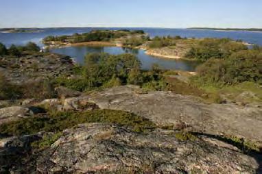 377. Immaskär, Houtskari (1,0 ha) Maisemallisesti arvokas sijaitsee Immaskärin ja Långörenin saarten välisessä salmessa.