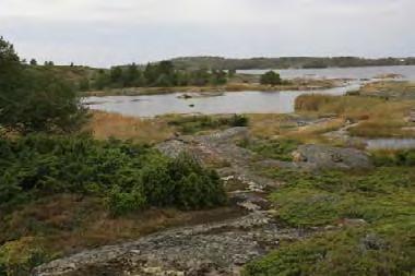 390. Nästland, Korppoo (0,7 ha) Nästlandin saaren pohjoisosassa oleva luonnontilaisen ja matalavetisen kohteen suuaukko on 0,3 metrin syvyydessä keskivedestä.