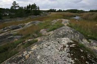 Kohteen pohja on saviliejua ja kivikkoa. Suuaukon kynnys on vain hieman liian syvällä. 382.