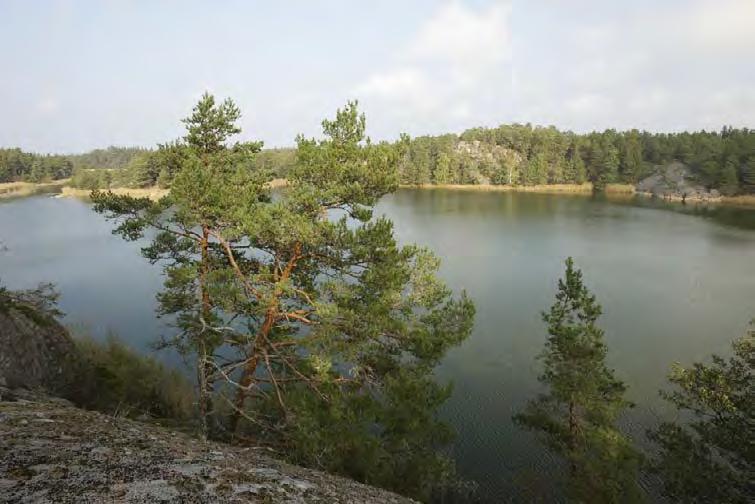 myös lista kohteista, jotka eivät selvityksen aikana osoittautuneet vesilain tarkoittamiksi fladoiksi.