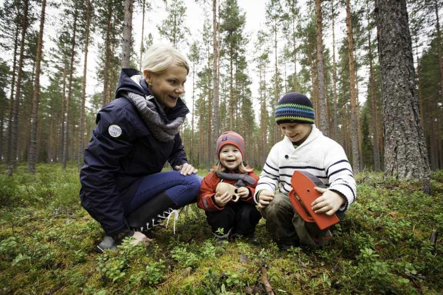 Metsänomistamisen tavoitteita Metsänomistamisen helppous Omaisuuden arvon kasvattaminen Arvot Metsätulojen kasvattaminen Metsäalan Metsän omistamisen suunnannäyttäjä mahdollisuus Tulevaisuuden